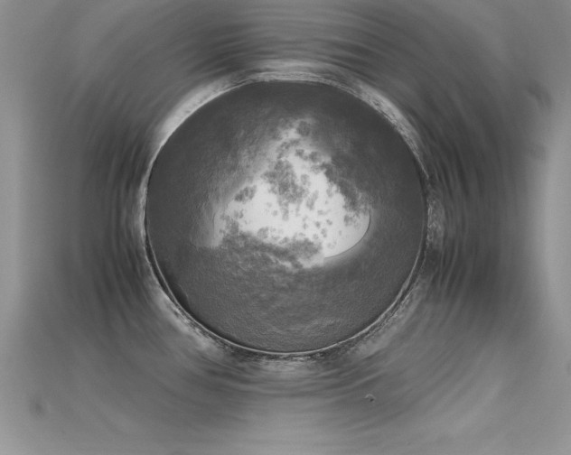 X0000115661386200911121205