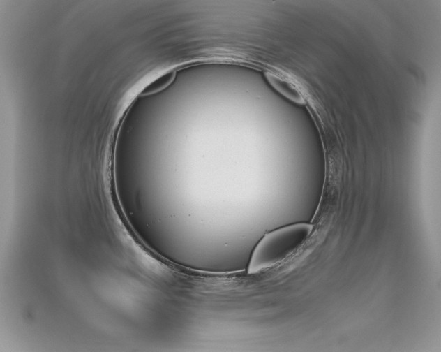 X0000115661387200911121205