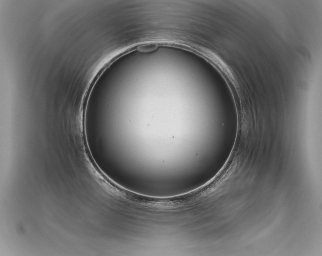 X0000115661388200911121205