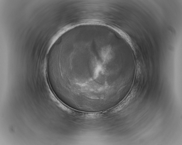 X0000115661390200911121205