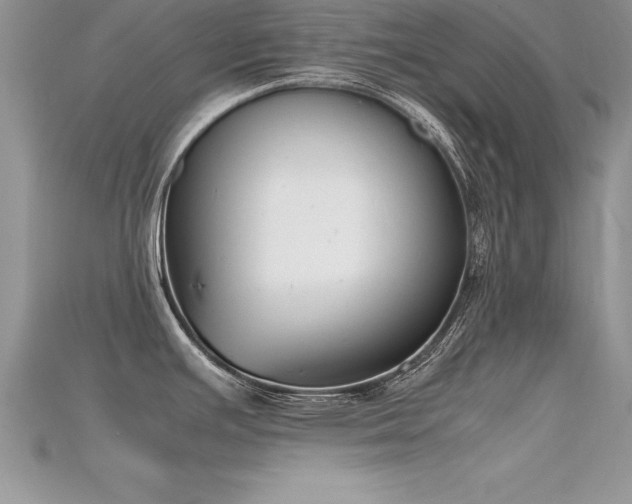 X0000115661391200911121205