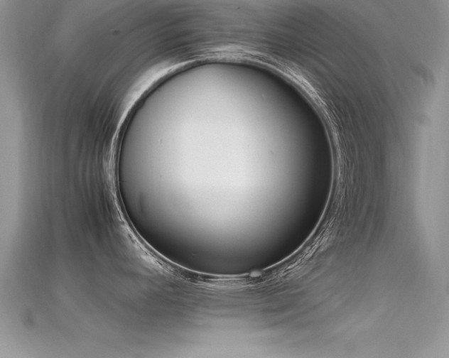 X0000115661392200911121205
