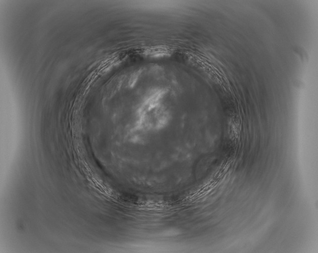 X0000115661393200911121204