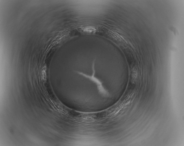 X0000115661394200911121204
