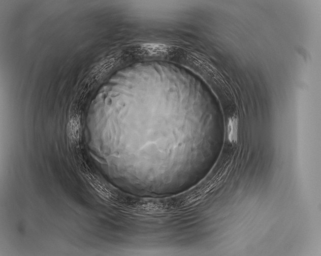 X0000115661395200911121204