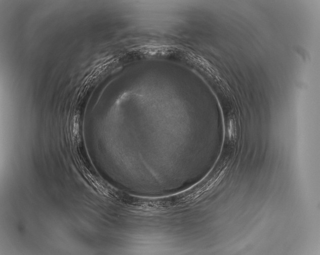 X0000115661396200911121204