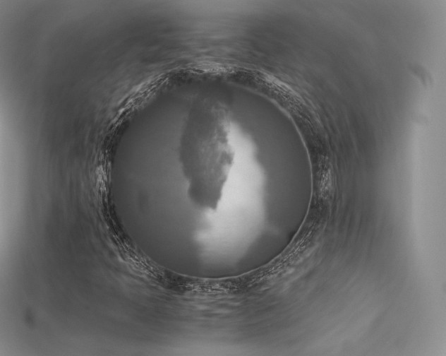 X0000115661397200911121204