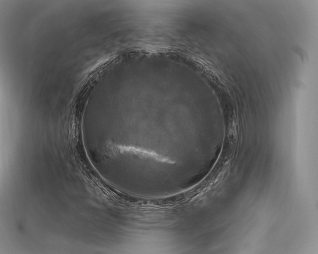 X0000115661398200911121204