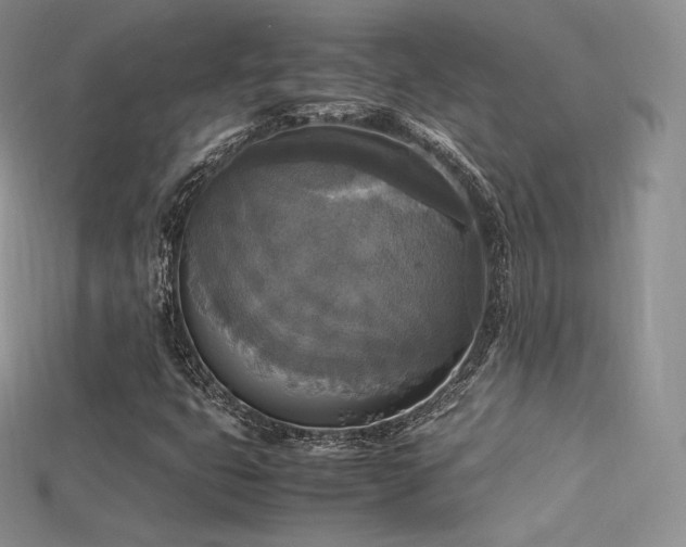 X0000115661399200911121204