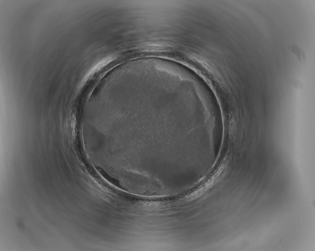 X0000115661402200911121204