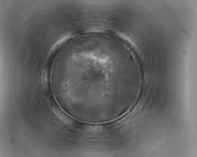 X0000115661403200911121204