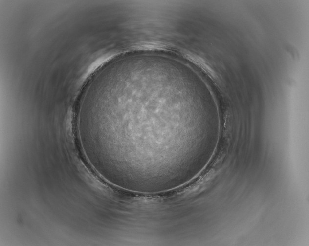 X0000115661404200911121204