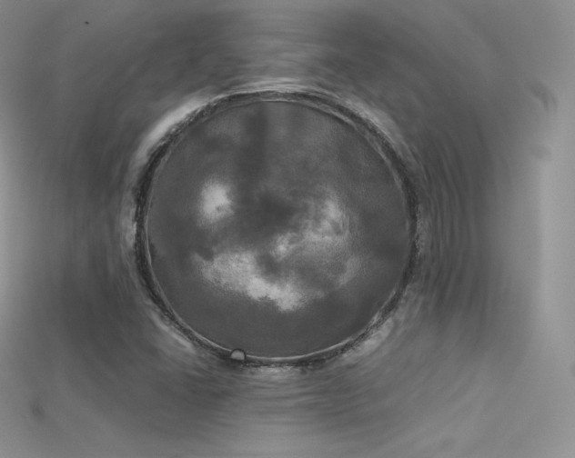 X0000115661406200911121204