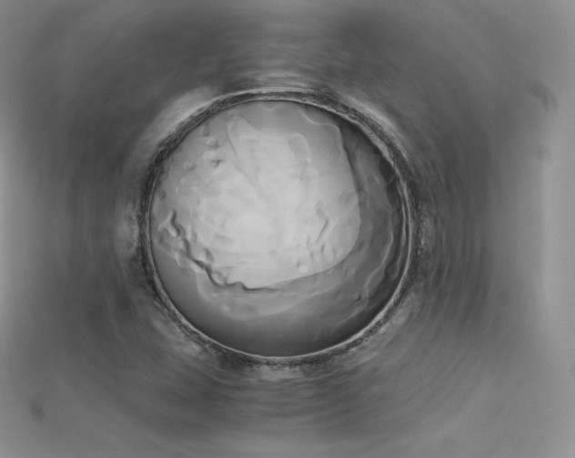 X0000115661407200911121204