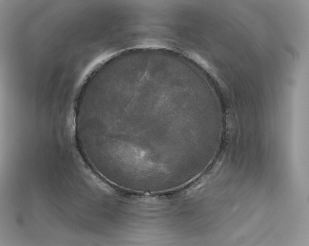 X0000115661408200911121204