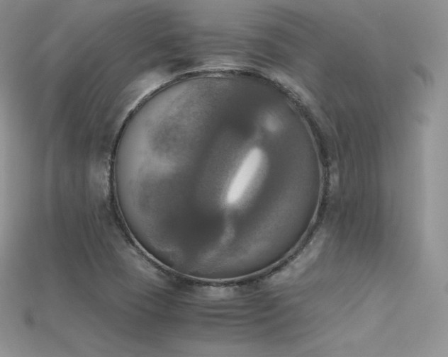 X0000115661409200911121204