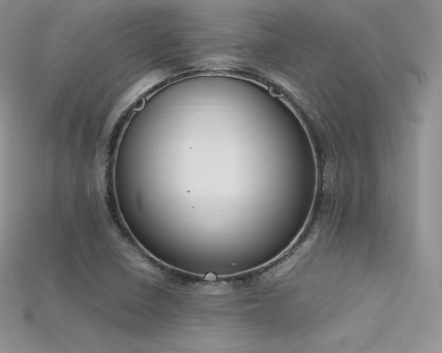 X0000115661410200911121204