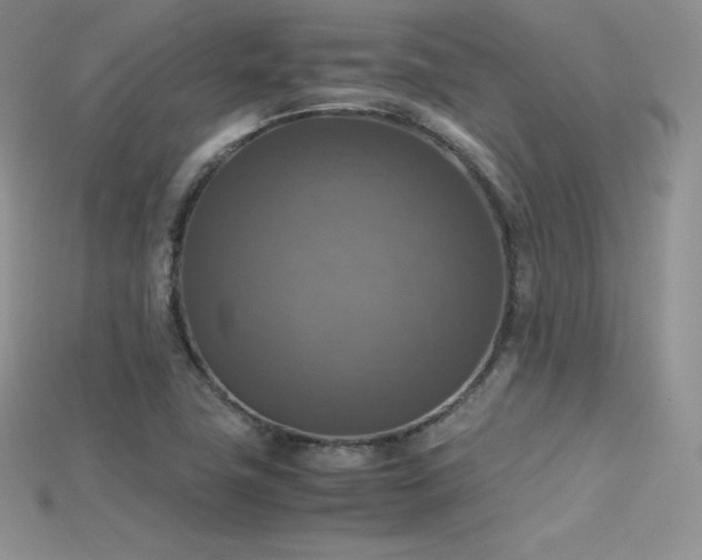 X0000115661411200911121204