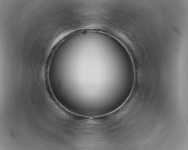 X0000115661412200911121204