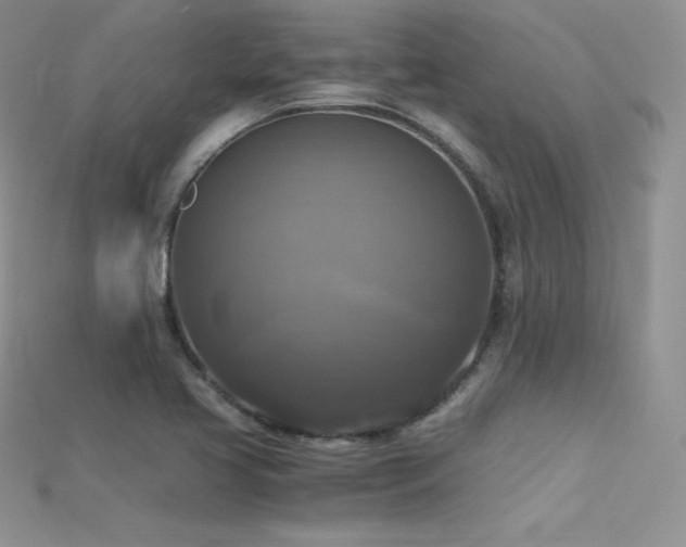 X0000115661413200911121204