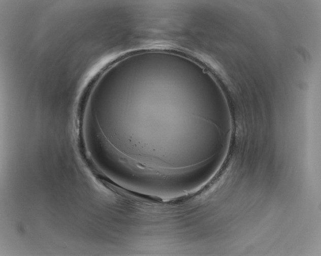 X0000115661414200911121204