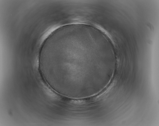 X0000115661415200911121204