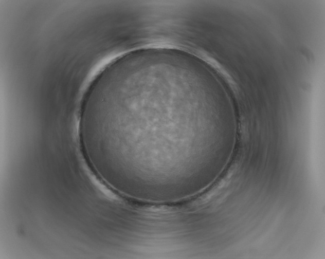 X0000115661416200911121204