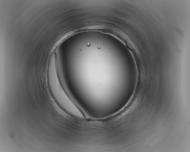 X0000115661417200911121204