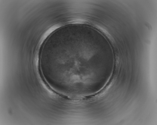X0000115661418200911121204
