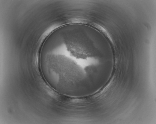 X0000115661419200911121204