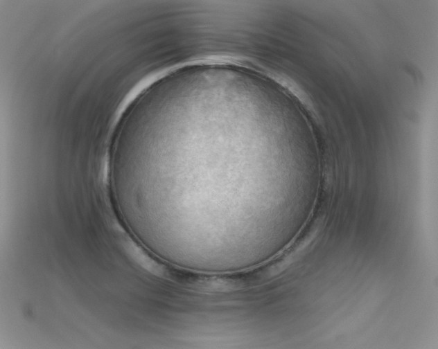 X0000115661420200911121204