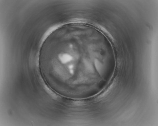 X0000115661421200911121204