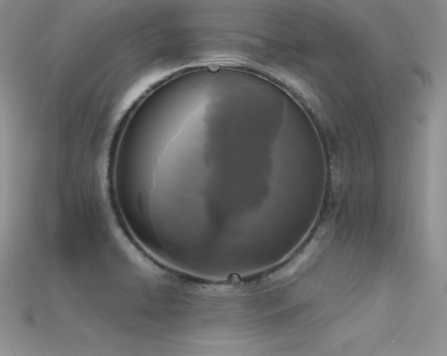 X0000115661422200911121204