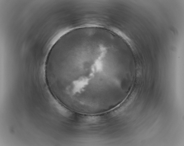 X0000115661423200911121204