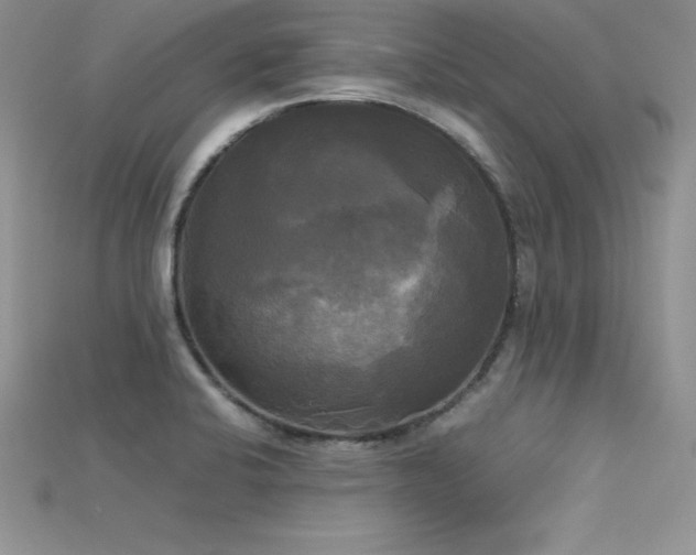X0000115661424200911121204