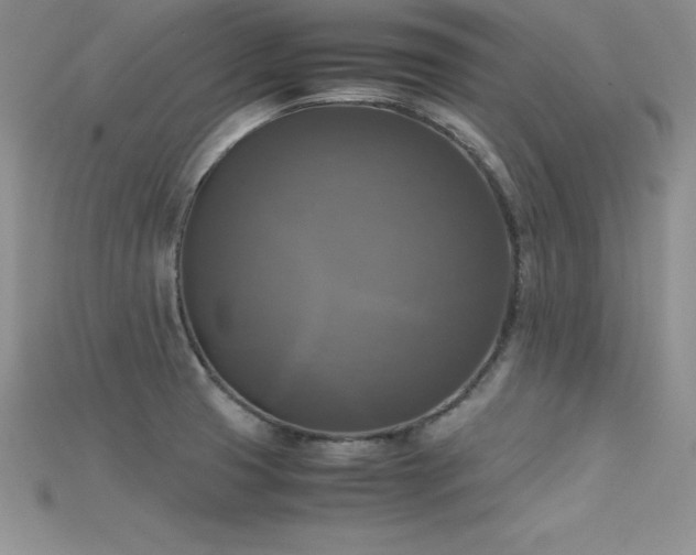 X0000115661425200911121204