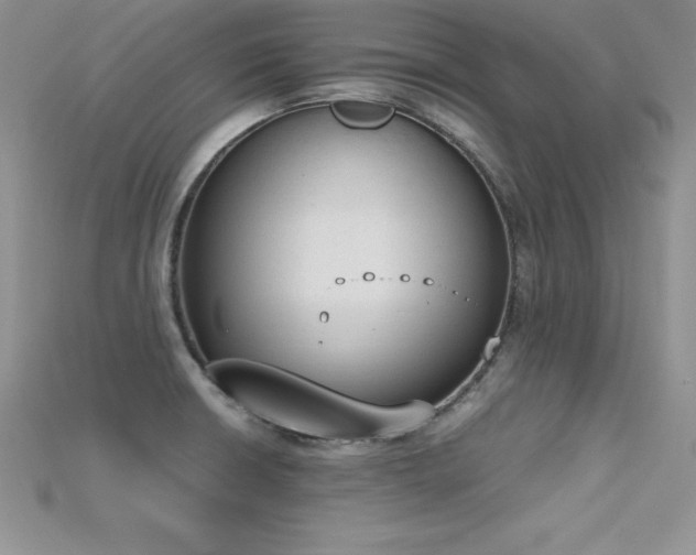 X0000115661426200911121204