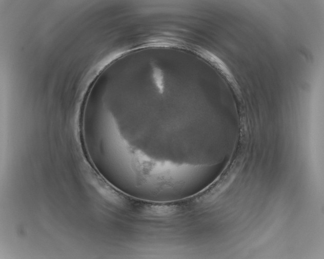 X0000115661427200911121204