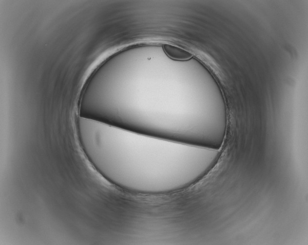 X0000115661428200911121204
