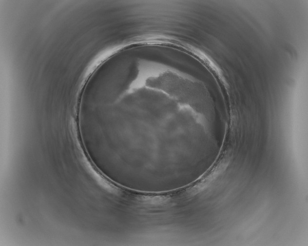 X0000115661429200911121204