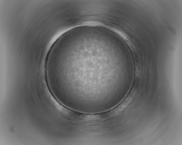 X0000115661430200911121204