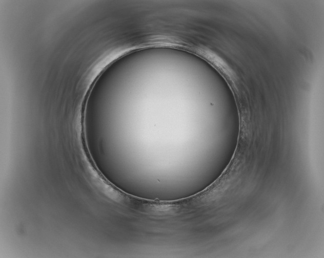 X0000115661431200911121204