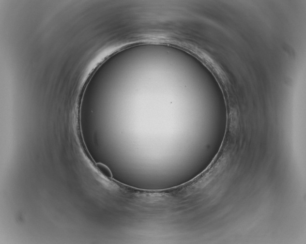 X0000115661432200911121204