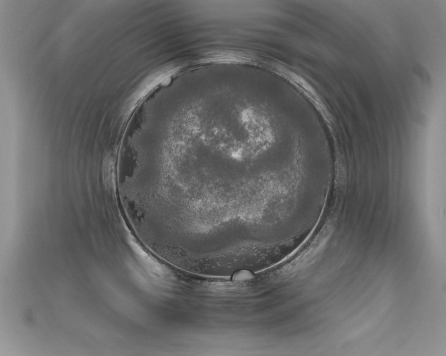 X0000115661433200911121204