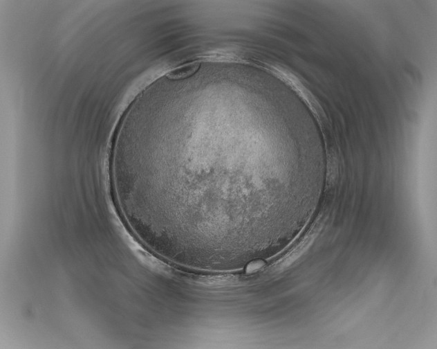 X0000115661434200911121205