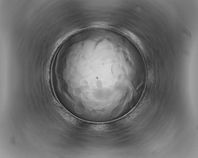 X0000115661435200911121205