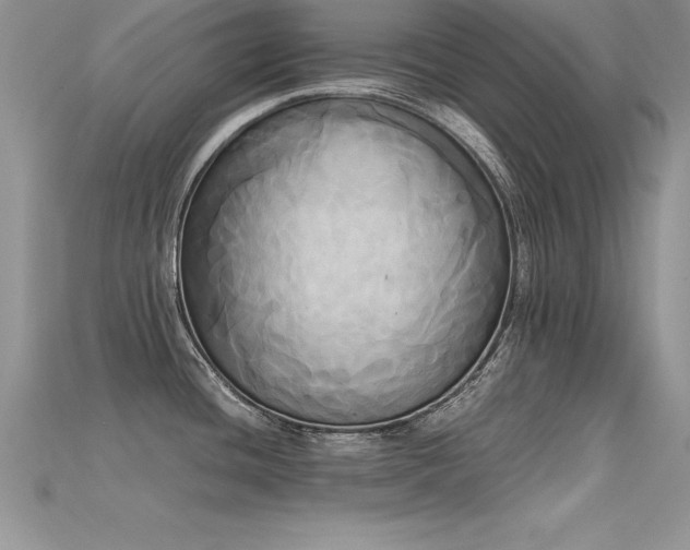 X0000115661436200911121205