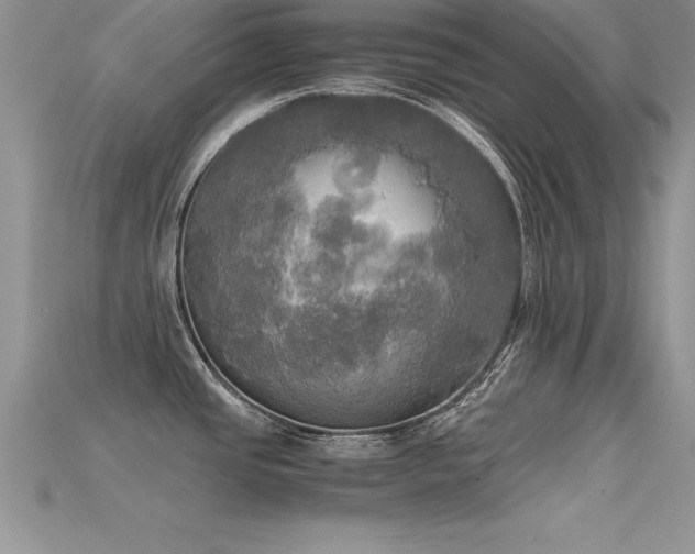 X0000115661437200911121205