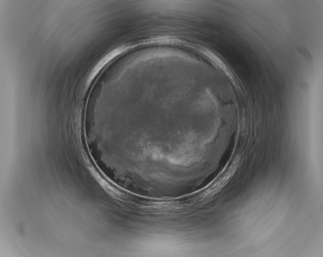 X0000115661438200911121205