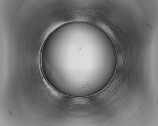 X0000115661439200911121205